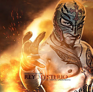 Meet your Posher, Dominick